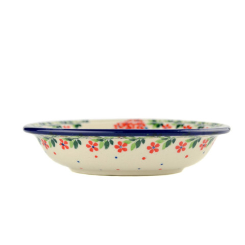 Soap dish with holes