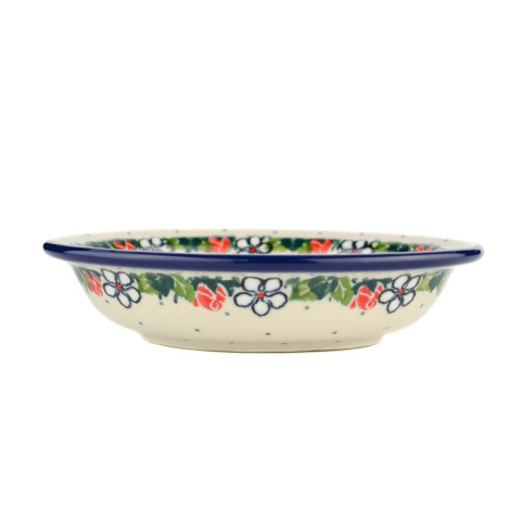 Soap dish with holes